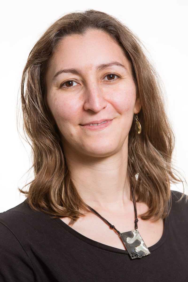 Picture of Nava Tintarev